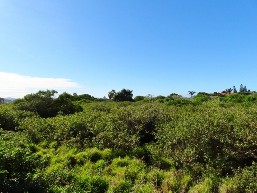 0 Bedroom Property for Sale in Forest Downs Eastern Cape